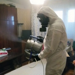 Дезинфекция от клопов в Жуковском