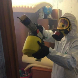 Уничтожение клопов в квартире. Жуковский